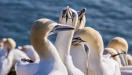 开云：从云端到日常的温度美学