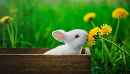 开云娱乐-[科技揭秘]“竞技联盟德州扑克透视辅助插件”详细辅助教程